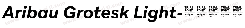 Aribau Grotesk Light字体转换